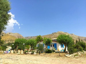 Гостиница  Peaceful rural house Stone Paradise  Авола